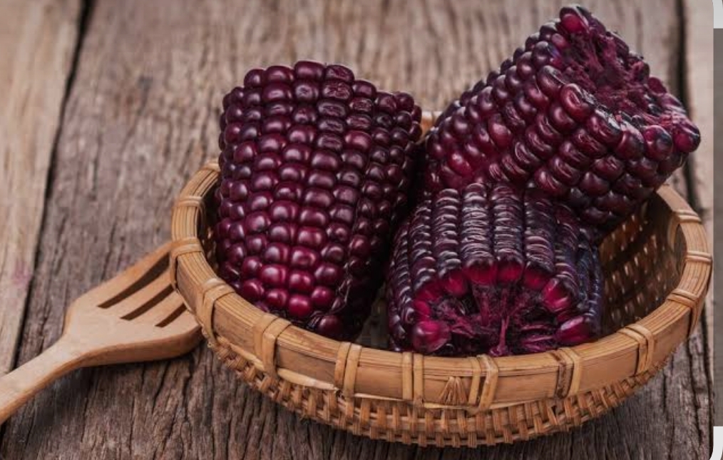 Jagung Ungu Rebus: Sumber Kekuatan Antioksidan yang Kaya Manfaat