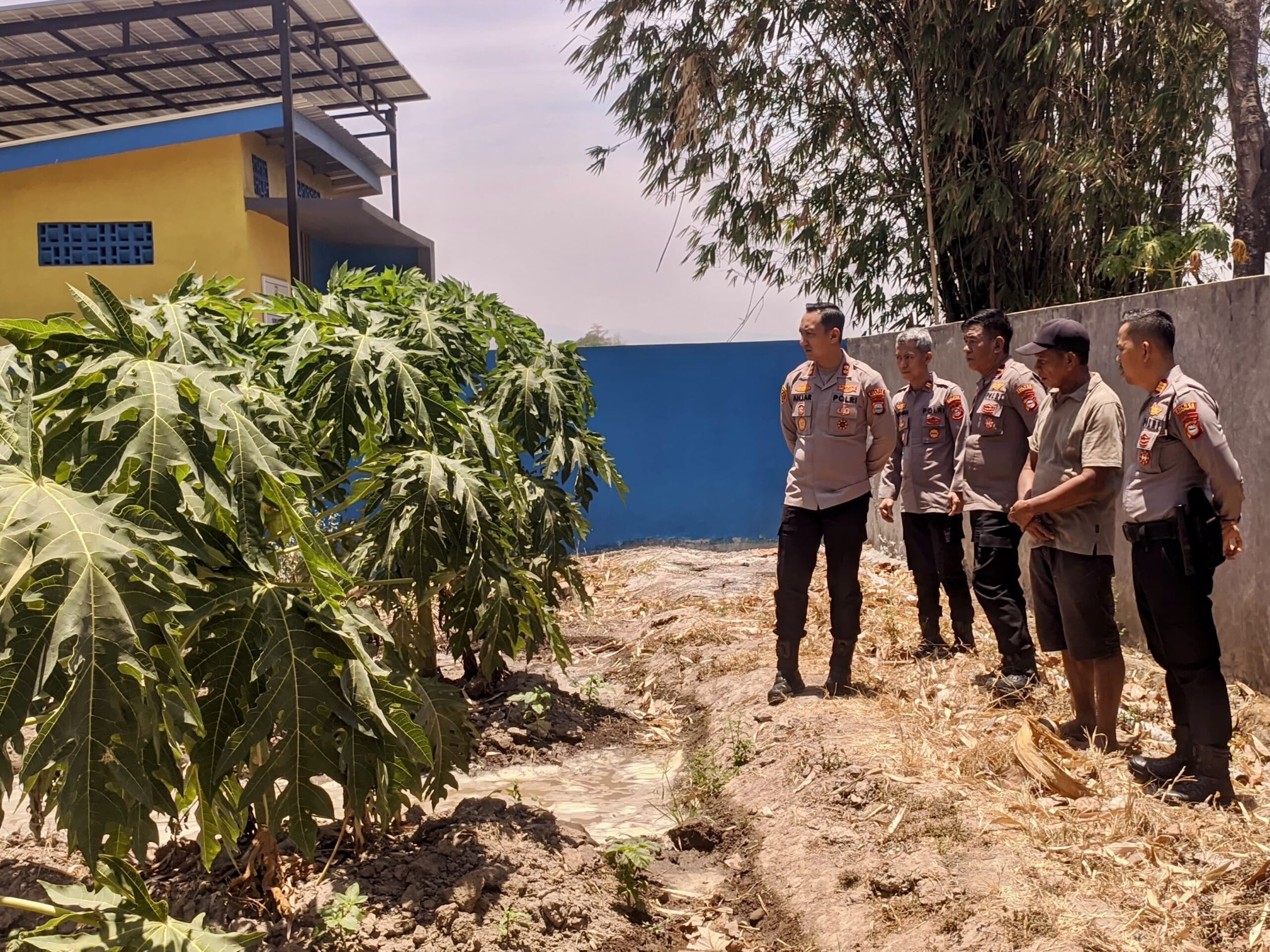 Kapolres Takalar Sambangi Petani Pepaya, Dorong Ketahanan Pangan dari Tingkat Kelurahan